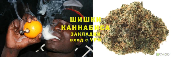 индика Санкт-Петербург