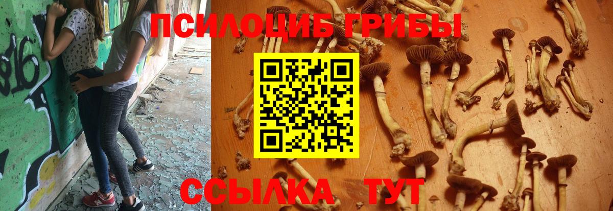 Псилоцибиновые грибы MAGIC MUSHROOMS Реж